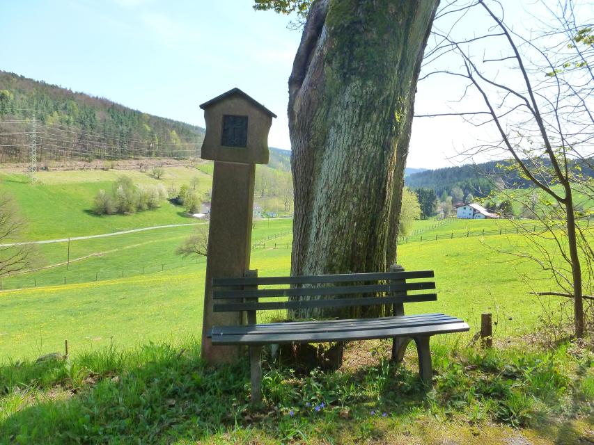 Eine naturverbundene, leichte Wanderung über 11 km durch die Ortsteile Airlenbach und Olfen der Stadt Beerfelden für Wanderer, die Stille und schöne Landschaft lieben.