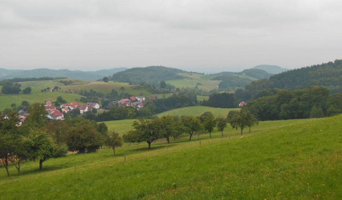 Birkenau Panoramaweg Goetzenstein