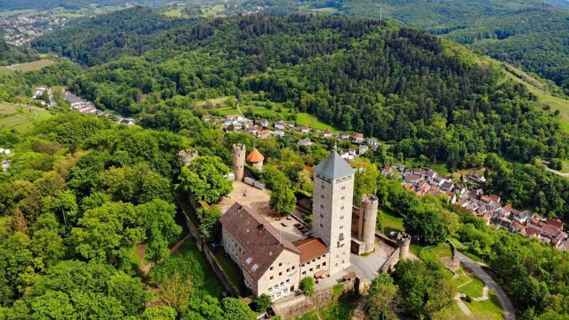 Vom idyllischen Staatspark Fürstenlager gelangen Sie durch aussichtsreiche Weinberge und artenreiche Wälder zur schönen Fachwerk- und Winzerstadt Heppenheim.