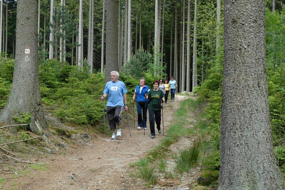 Die anspruchsvolle 9,9 km Nordic Walking-Tour geht durch das idyllische Gassbachtal und führt über die etwa 500 m hohen Berge Weihwesel und Hammelberg.