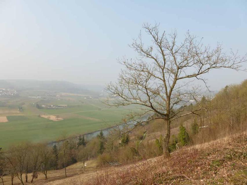 Mosbach: Geopark-Pfad Naturerlebnis Schreckberg