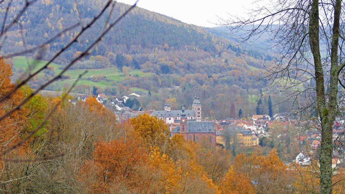Blick auf Amorbach