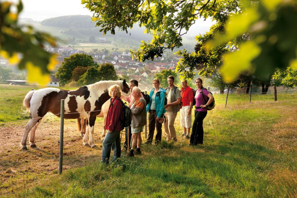 Wanderer am Rand einer Pferdekoppel mit Pferd auf dem Qualitätswanderweg Alemannenweg bei Reichelsheim