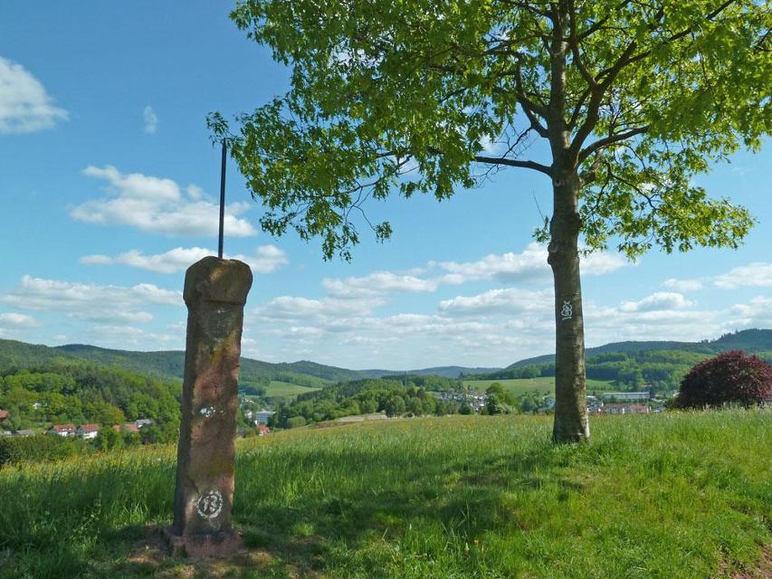 Besonders aussichtsreiche Rundwanderung zwischen Wald-Michelbach und dem Höhenzug Tromm. Mit Panoramablicken über die Rheinebene bis zur Pfalz und Kunstwerken am Wegesrand.