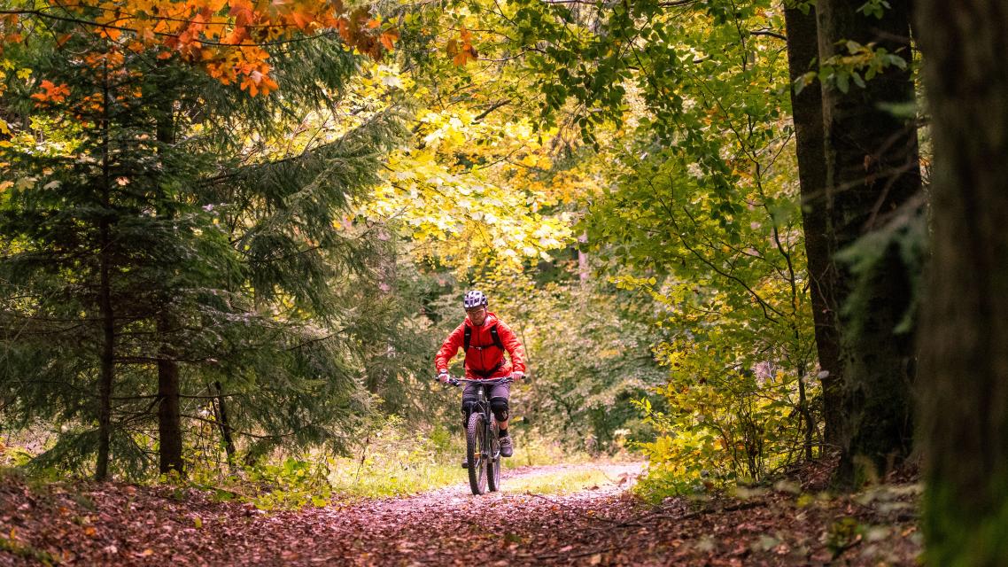 Herrliche Ausblicke aber auch konditionelle und fahrerische Herausforderungen kennzeichnen die 26 km lange Mountainbike-Strecke rund um Fürth.