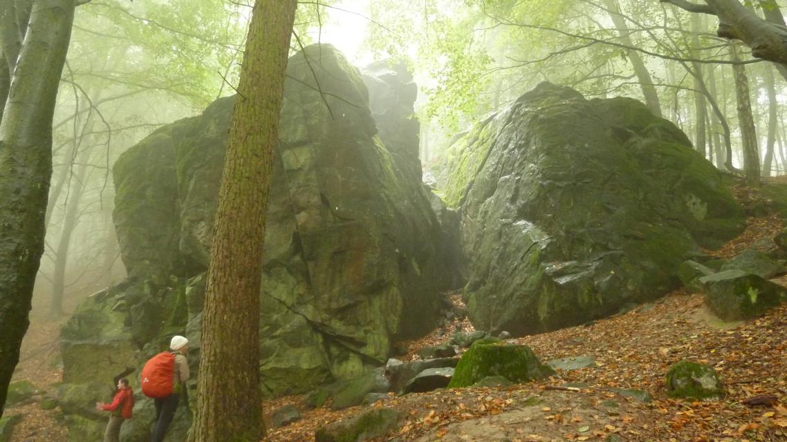 Magnetsteine mit Wanderern im Nebel bei Burg Frankenstein Mühltal