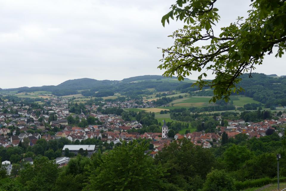 Blick auf Reichelsheim