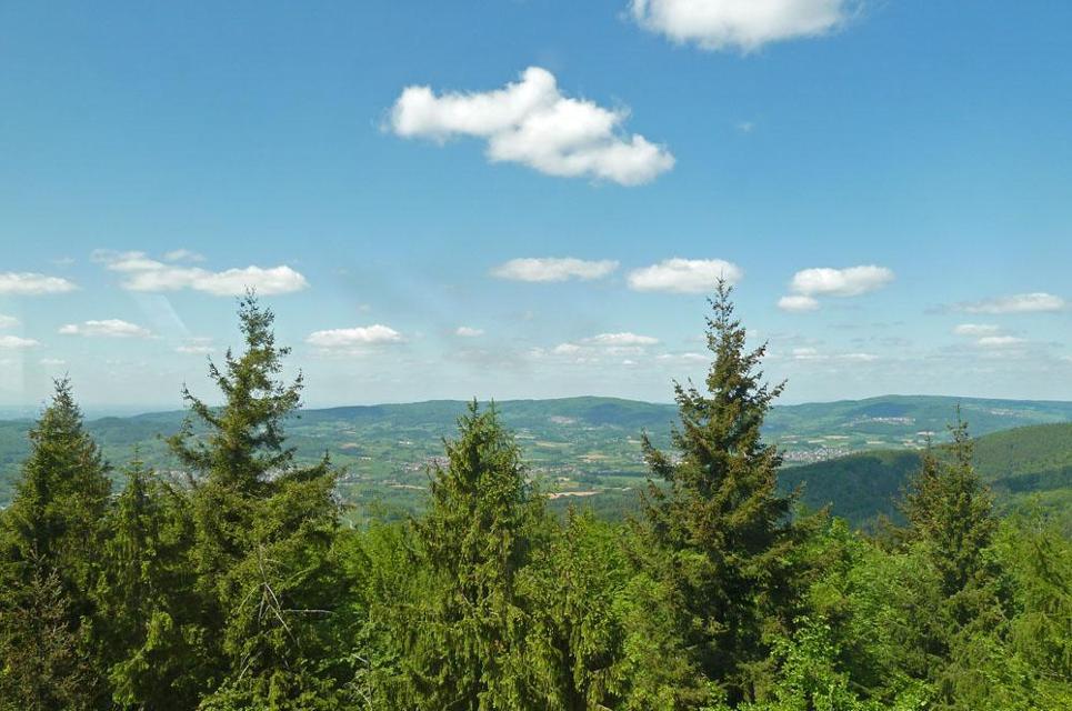 Rundwanderung für Konditionierte über 18 km durch sanfte Hügellandschaft mit langgezogenem Anstieg zwischen Rimbach und Tromm. Höhepunkt bildet der Rundumblick vom Trommturm.