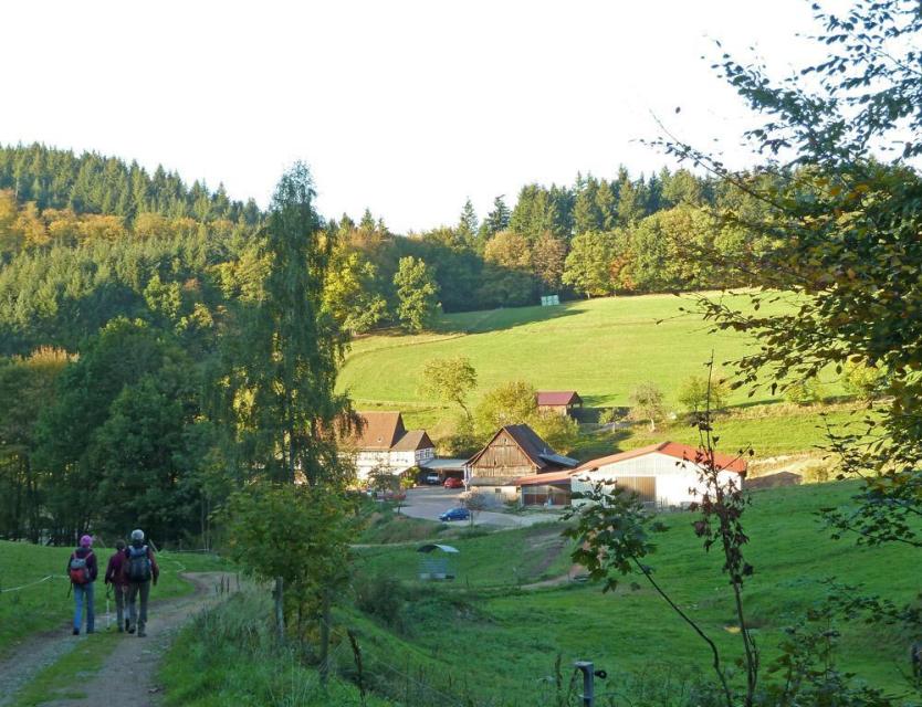 Angenehme Rundwanderung über 13 km überwiegend durch schönen Mischwald zwischen Fürth und Hammelbach. Unterwegs gibt es schöne Aussichten auf Fürth und das Weschnitztal.