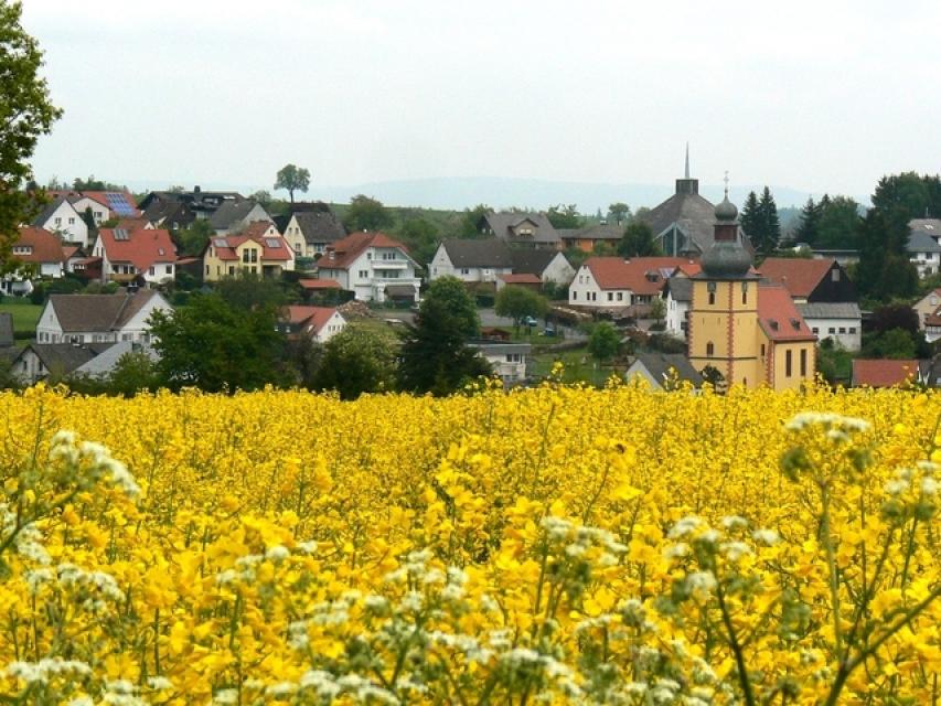 Blick auf Michelstadt-Vielbrunn