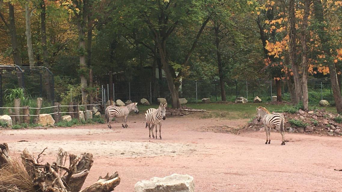 Zoo Vivarium