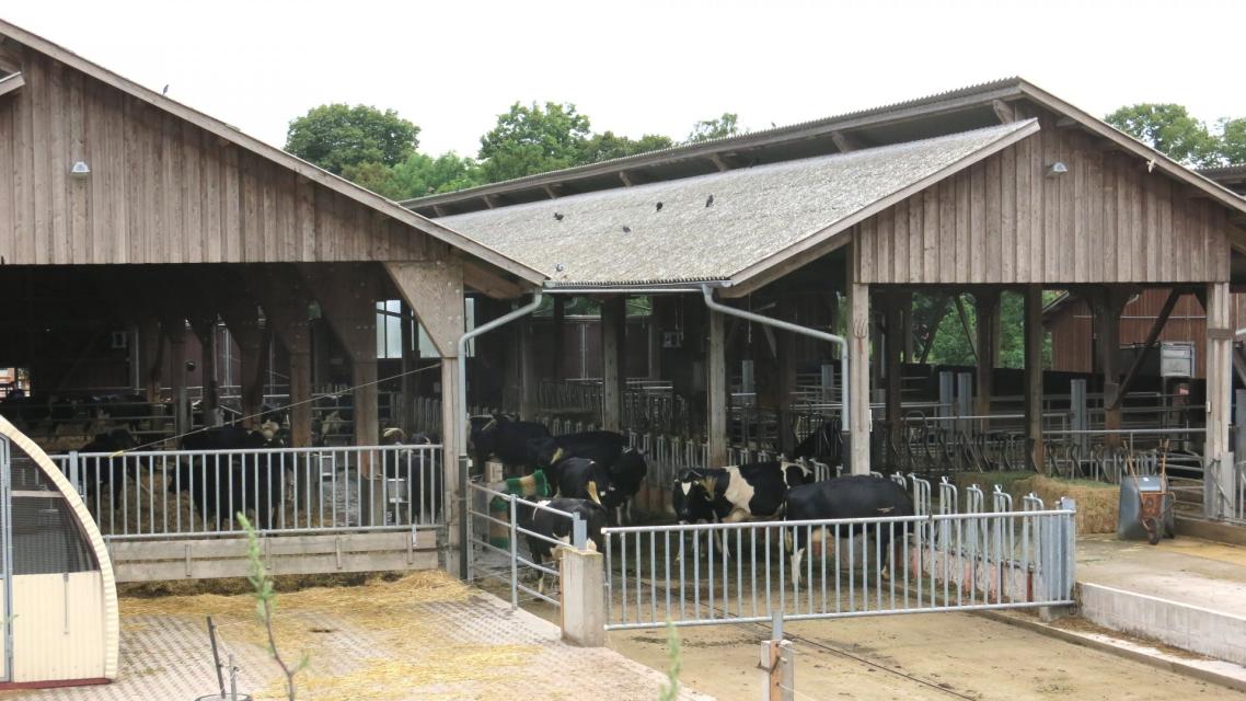 Lernort Bauernhof, Hofgut Oberfeld