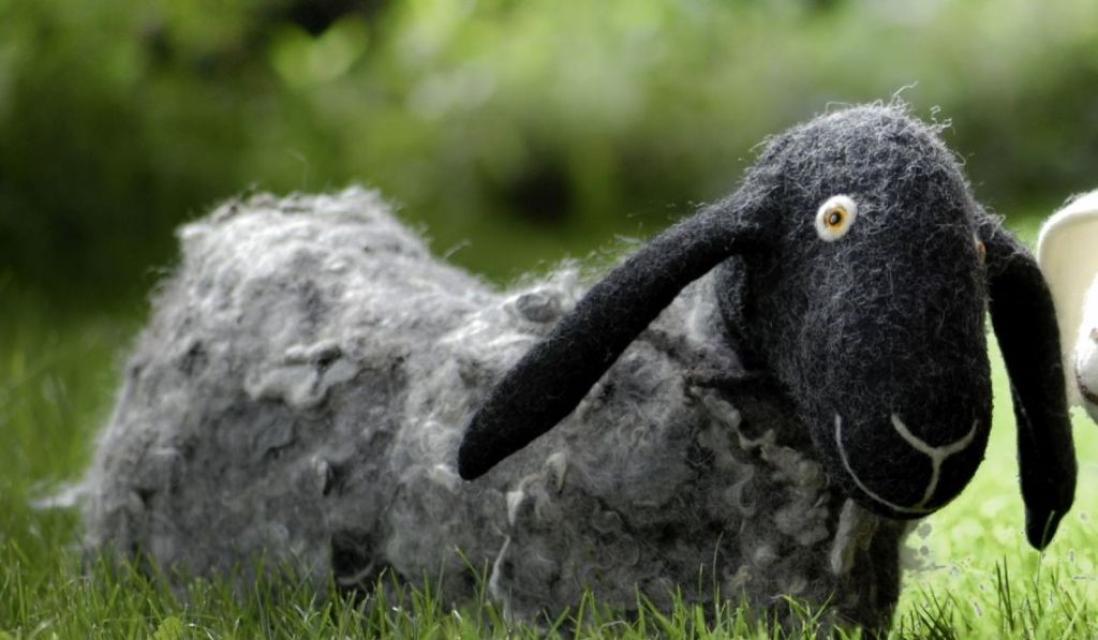 Schafe zählen zu den ältesten Haustieren und werden vom Menschen seit etwa 10.000 Jahren gehalten. Erst seit etwa 7.000 Jahren, stellen die Menschen aus ihren Fellhaaren Garn und Gewebe her.
                 title=