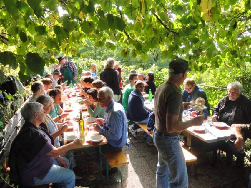 Die Winzergemeinschaft ist bekannt für ihre Bioweine aus der Weinlage Alte Burg bei Zwingenberg an der Bergstraße. In den Weinen können Kenner die Landschaft buchstäblich schmecken.