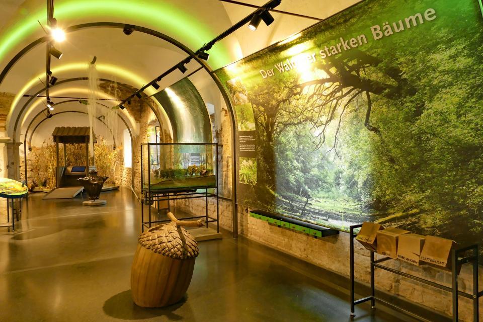 Das Umweltbildungszentrum (UBZ) im Hofgut Guntershausen bei Stockstadt am Rhein liegt in der Kühkopf-Knoblochsaue, Hessens größtem Naturschutzgebiet. Im Nordflügel finden Sie Dauer-und Wechselausstellungen, Vortrags-und Werkräume sowie ein Schülerlabor. 