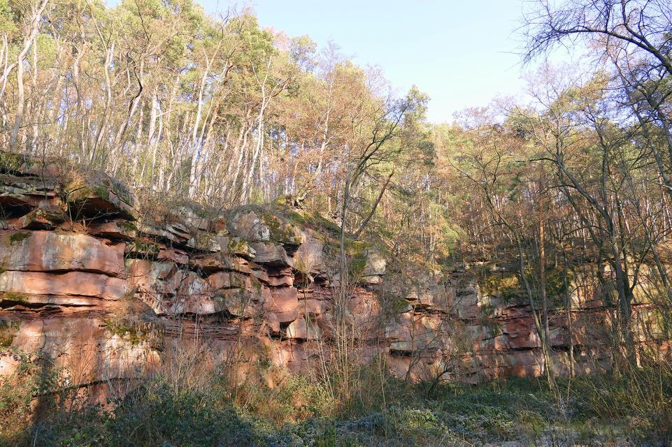 At the Königswald quarry in Mömlingen you can learn more about the local sandstone and its origins.