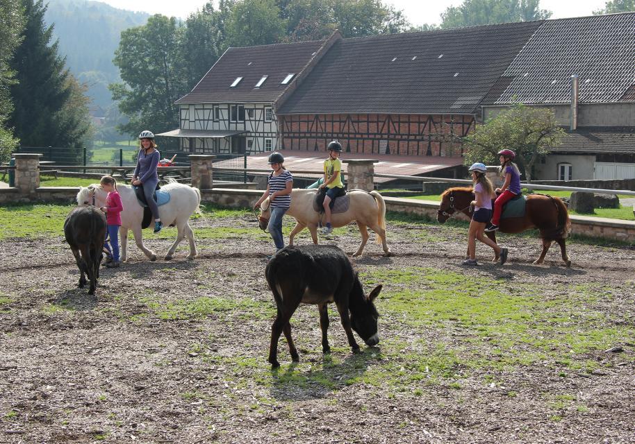 Families with children will find everything their heart desires at the Hohenloher Hof: pony rides, a playground, a soccer field or a play barn ensure that there is no boredom.