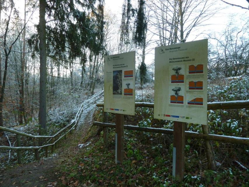 In einem kleinen Waldstück neben offenem Feld erinnert das Mühlhansenloch an einen explosiven Vulkanausbruch vor vielen Millionen Jahren,