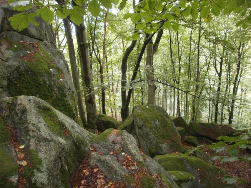 Wer die Burgruine Rodenstein besucht, der sollte einen Abstecher zu der 750 m entfernten, sagenumwobenen Felsformation unternehmen. Vielleicht sind die wilden Weibchen gerade anzutreffen.