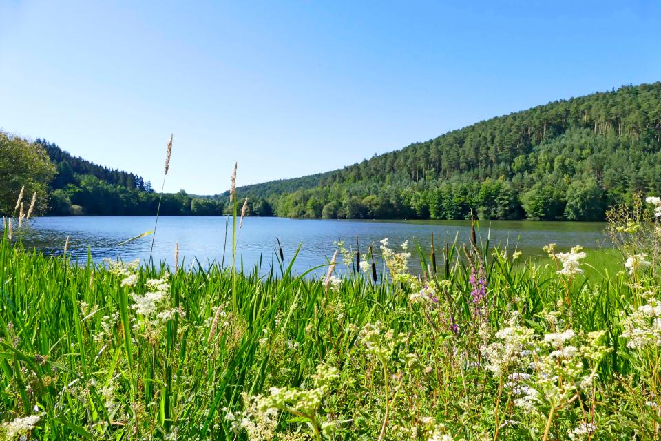 Der landschaftlich schön gelegene Marbach-Stausee in Mossautal ist besonders an heißen Sommertagen ein idyllischer Ort zum Baden, Boot fahren und einfach nur zum Träumen.