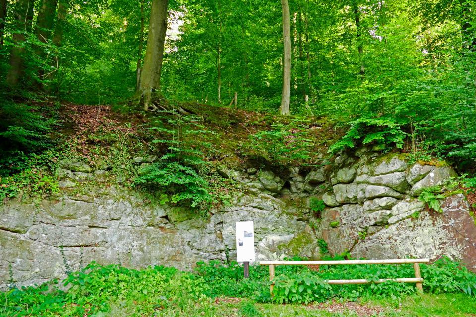 Die rundlichen Felsblöcke am Naturpark-Parkplatz direkt neben der Kreisstraße entführen in die Zeit vor etwa 45 Millionen Jahren, als im Odenwald tropisches Klima herrschte.