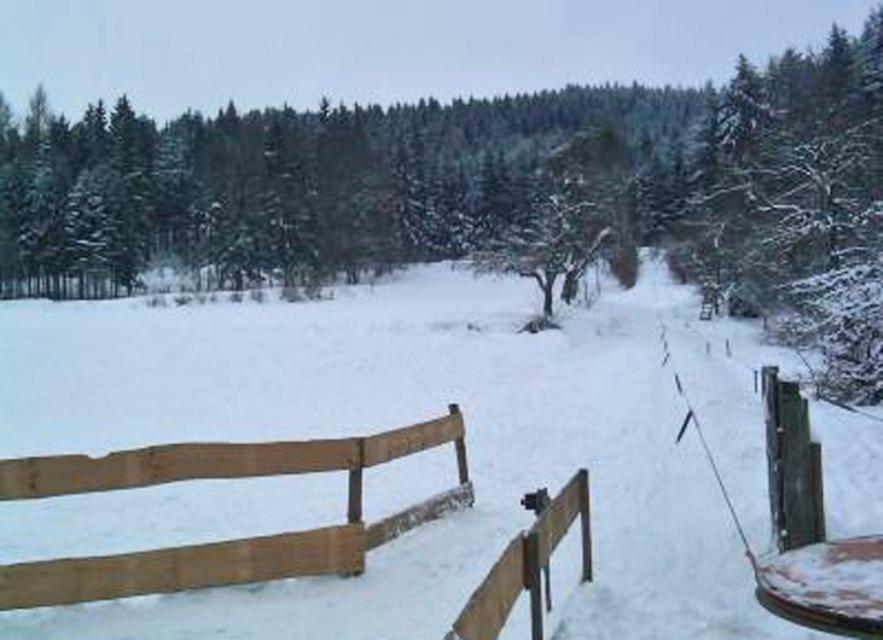 Der Skilift in Schöllenbach hat jedes Jahr zur Saison für seine Mitglieder geöffnet und läuft bei ausreichend Schnee täglich. Für das leibliche Wohl ist gut gesorgt. 