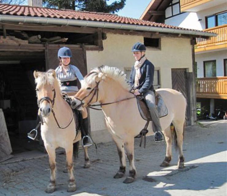 Der Ferienbauernhof Käsrah ist ideal für einen Reiterurlaub. Der Bauernhof bietet Ferienwohnungen und Ausritte mit Fjordpferden. Kinder lieben vor allem die Norwegerponys.
