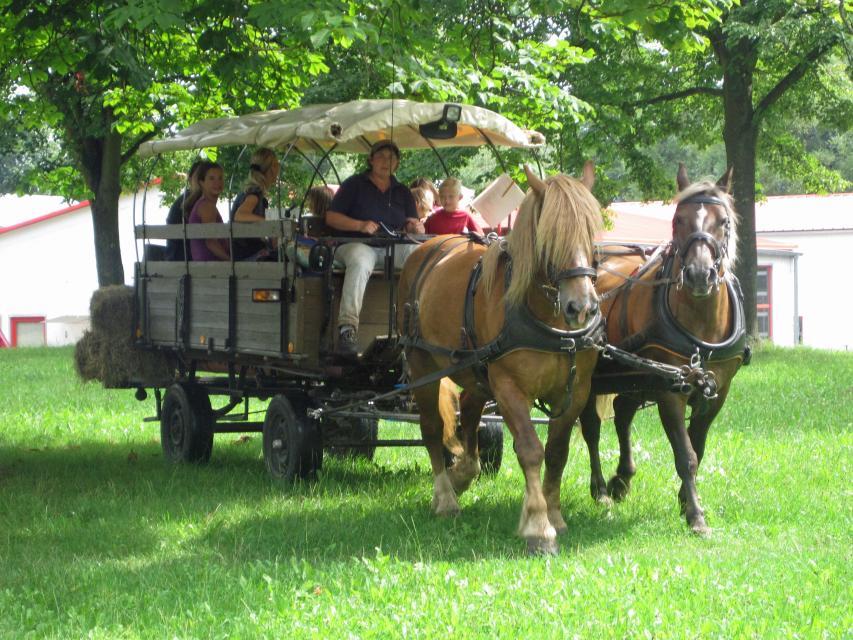 Besonders beliebt sind die Planwagenfahrten mit Familie Maul. Angeboten wird auch Reitunterricht. Dabei sind Ausritte zur Burg Breuberg ein besonderes Highlight.