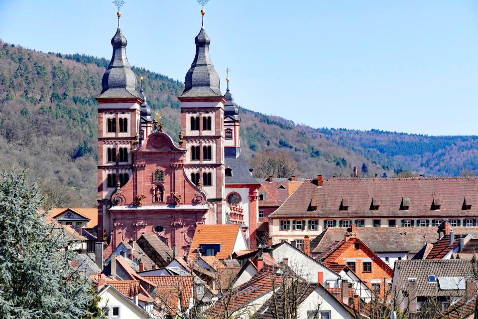 The Princely Abbey Church in Amorbach is a cultural monument of national importance. The church, preserved in its original state, is an impressive testimony to baroque church art.
                 title=