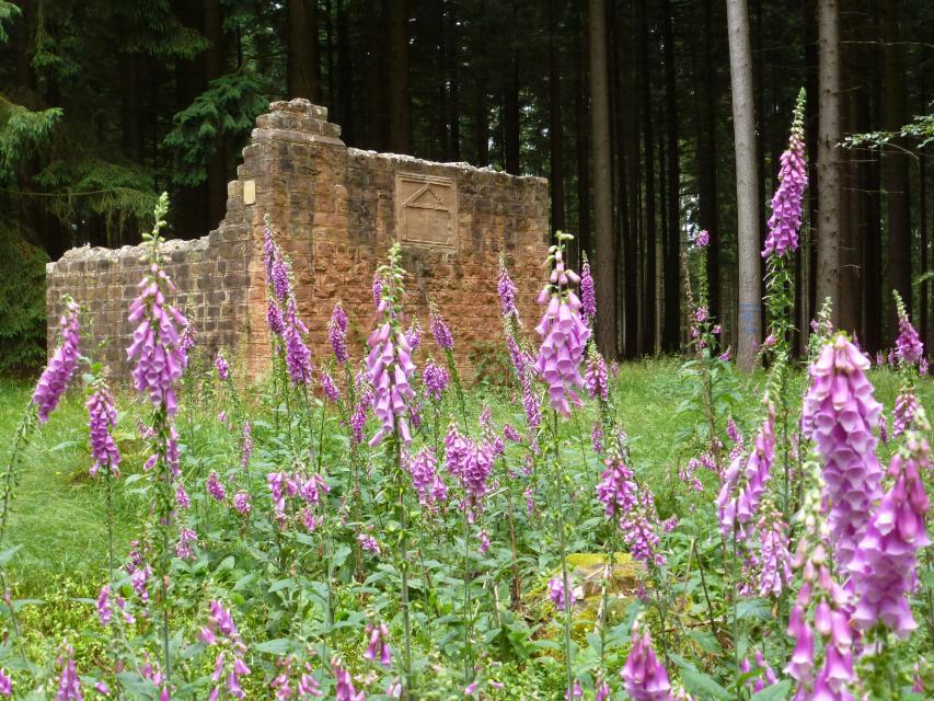 Der römische Wachturm in den Vogelbaumhecken legt ein eindrucksvolles Zeugnis von den Bauten der Römer entlang des Odenwaldlimes ab.