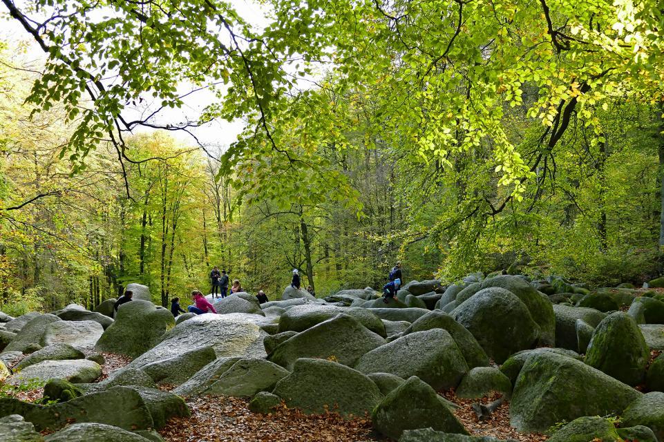 Das Felsenmeer in Lautertal ist eines der beliebtesten Ausflugziele für Familien mit Kindern im Odenwald. Die großen Felsblöcke laden zum Klettern und Spielen ein.