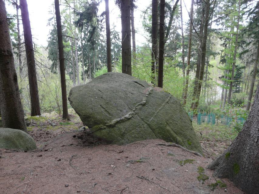 Der sagenumwobene Teufelsstein liegt am südwestlichen Abhang des Waldkopfes inmitten dichten Fichtenwaldes.