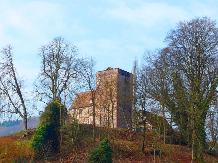 Die Vorderburg, auch Landschadenburg, ist die älteste der vier Burgen Neckarsteinachs.