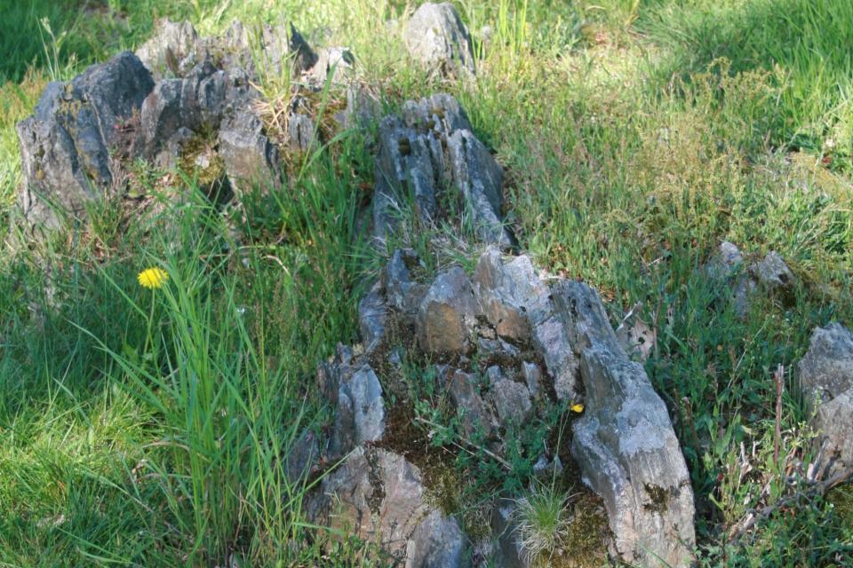 Die seltene Gesteinsformation tritt südlich des Lindenfelser Bismarckturms zutage. Der variszische Glimmerschiefer ist das Geotop des Jahres 2019 des Geo-Naturparks Bergstraße-Odenwald (UNESCO Global Geopark).
