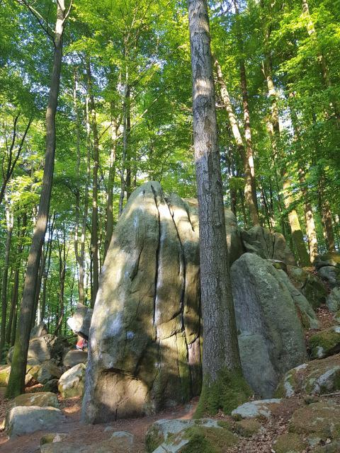 Der Gagernstein ist ein 7 Meter hoher Felsen aus Flaser-Granitoid bei Fischbachtal-Steinau, der gerne zum Bouldern genutzt wird.
                 title=