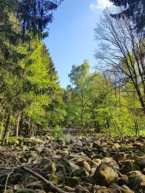 Das Kleine Felsenmeer lädt - ebenso wie sein großer Bruder in Lautertal-Reichenbach - zu einem interessanten Blick in die erdgeschichtliche Vergangenheit ein.