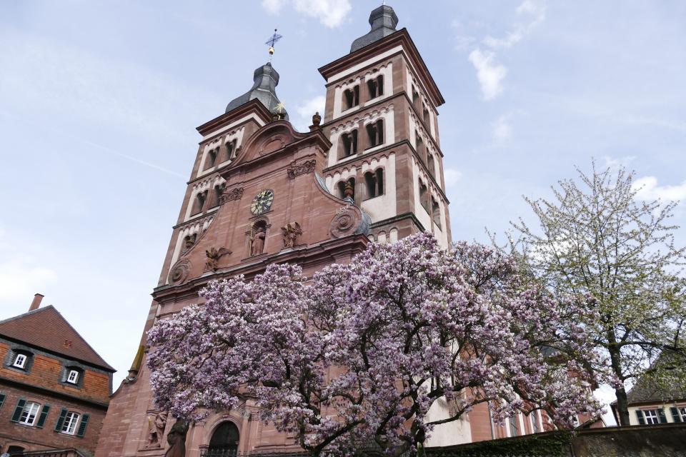 Eine Stadt, die wie Amorbach, den Gott der Liebe gleich im Namen führt, ist prädestiniert als Hochzeitsstadt. Die prachtvolle Abteikirche bietet dazu den passenden Rahmen. 