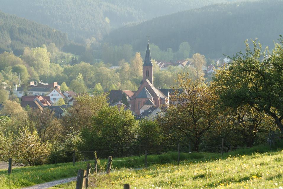 Die landschaftliche schön gelegene Gemeinde im Dreiländereck Hessen, Bayern, Baden-Württemberg punktet mit der romantischen Ruine Wildenburg und dem Waldmuseum Watterbacher Haus.