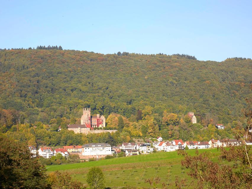 Neckarsteinach liegt im schönsten Teil des unteren Neckartales, nur 15 km östlich von Heidelberg, und ist bekannt und beliebt wegen seiner vier Burgen.