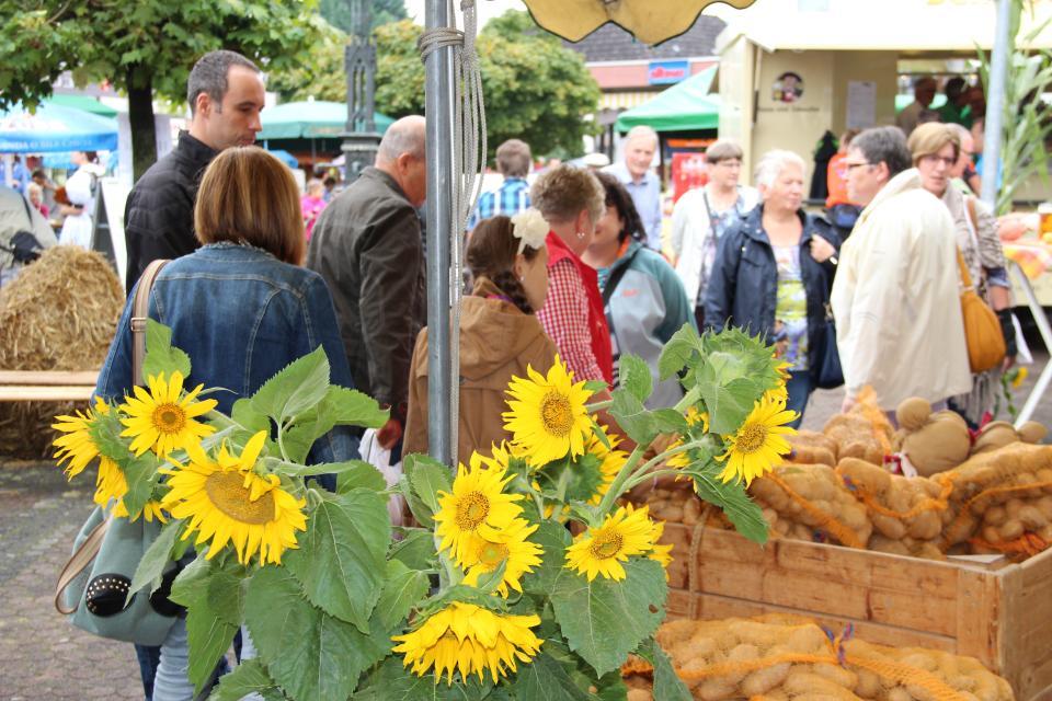 Traditionell im September findet in Höchst im Odenwald während der Odenwälder Kartoffelwochen der Odenwälder Kartoffelmarkt statt. Dabei dreht sich (fast) alles um die Kartoffel. In diesem Jahr vom 17.-18. September 2022.