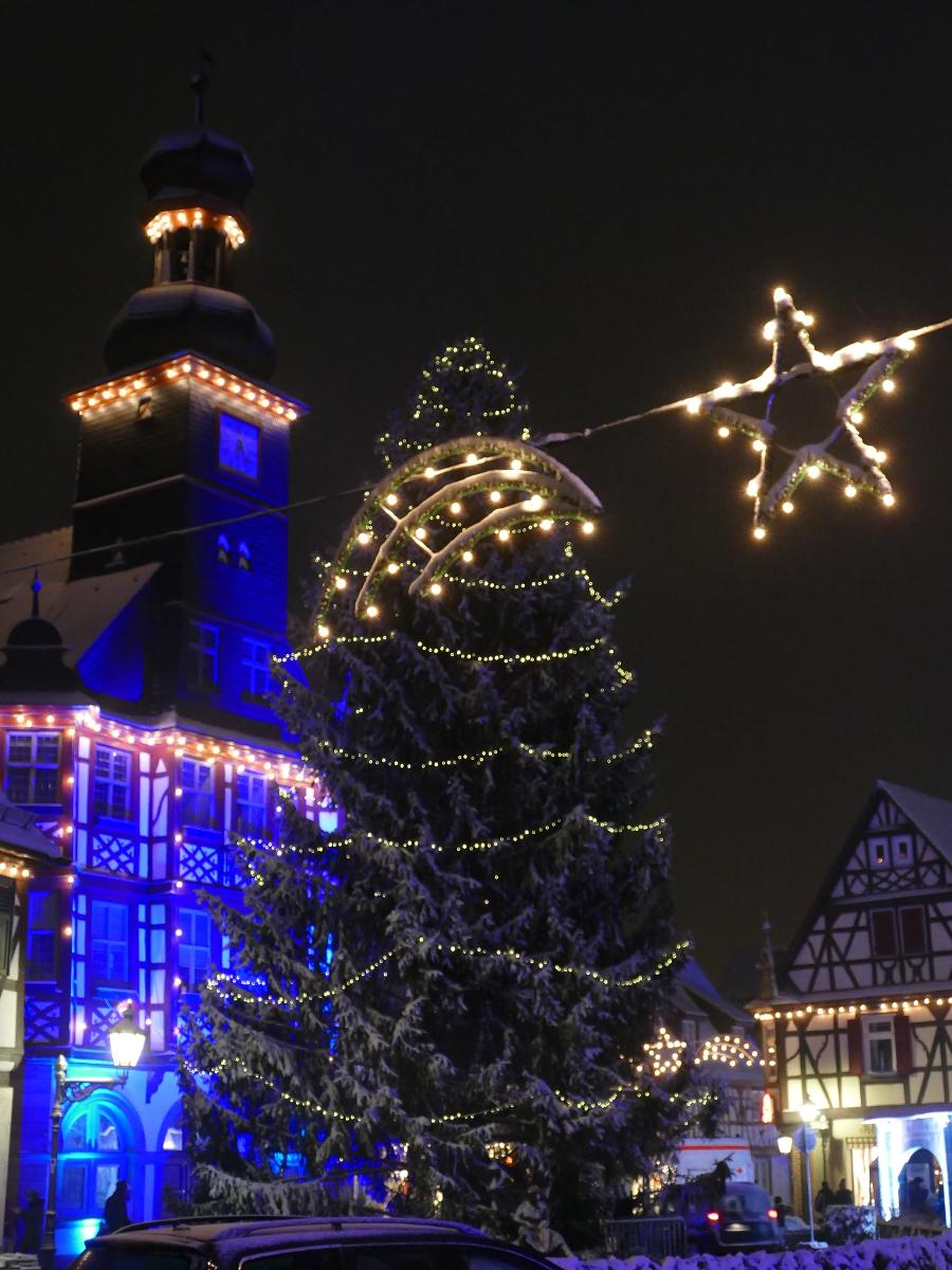 Mit Lichterketten bestückter großer Weihnachtsbaum vor dem alten Rathaus, das in blaues Licht getaucht ist.