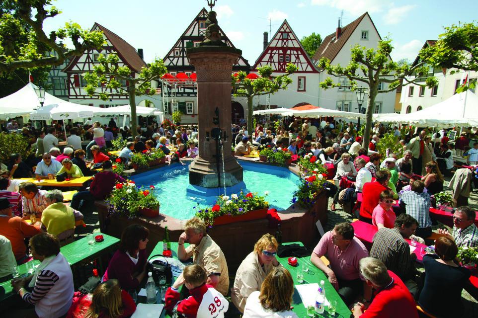 Besuchen Sie das traditionelle, beliebte Weinfest auf dem historischen Zwingenberger Marktplatz.