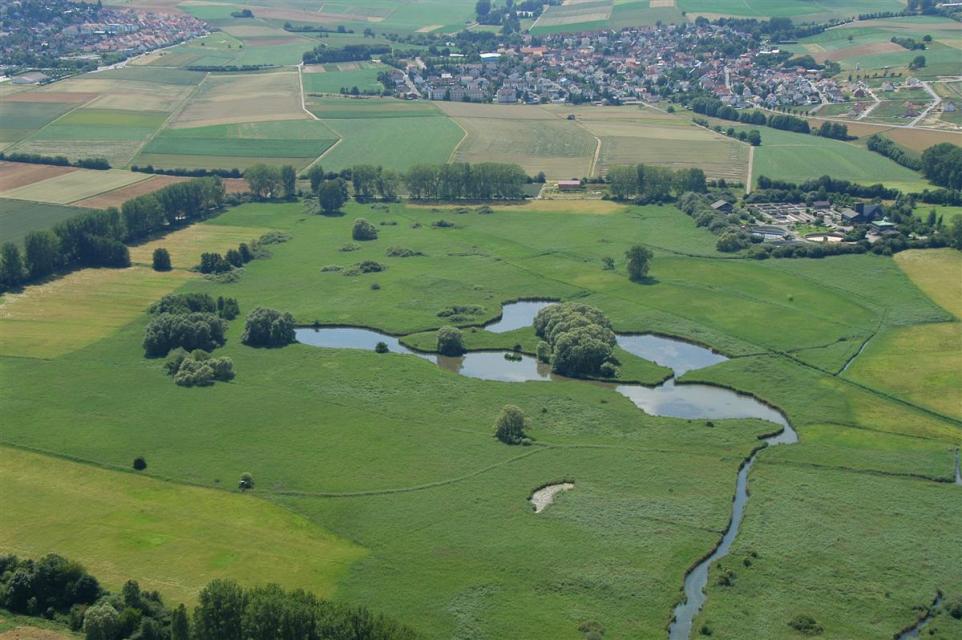 Im nordwestlichen Vorland des Odenwaldes liegt umringt von saftigen Wiesen und Feldern das Naturschutzgebiet Reinheimer Teich. Die üppige Flora und Fauna kann man auf dem Rundweg aktiv erleben oder man genießt die Zeit auf einer der zahlreichen Bänken rund um das Naturschutzgebiet. 