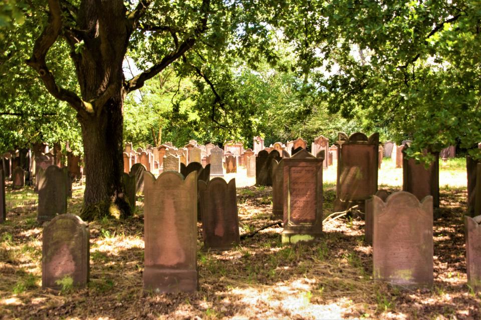 Der jüdische Friedhof, direkt an der B3 gelegen, wurde offiziell 1616 eröffnet und ist einer der größten in der Region.