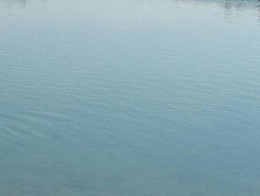Der Aie-See in Eppertshausen ist ein alter Steinbruch  und ein reiner Angelsee. Er eignet sich wunderbar zum Spazierengehen oder zum Dasitzen und auf‘s Wasser schauen. Baden ist weder für Menschen noch Hunde erlaubt.