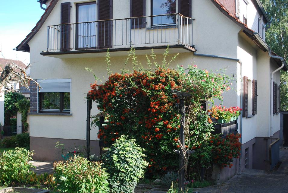 Das Ferienhaus liegt zentral in Michelstadt.