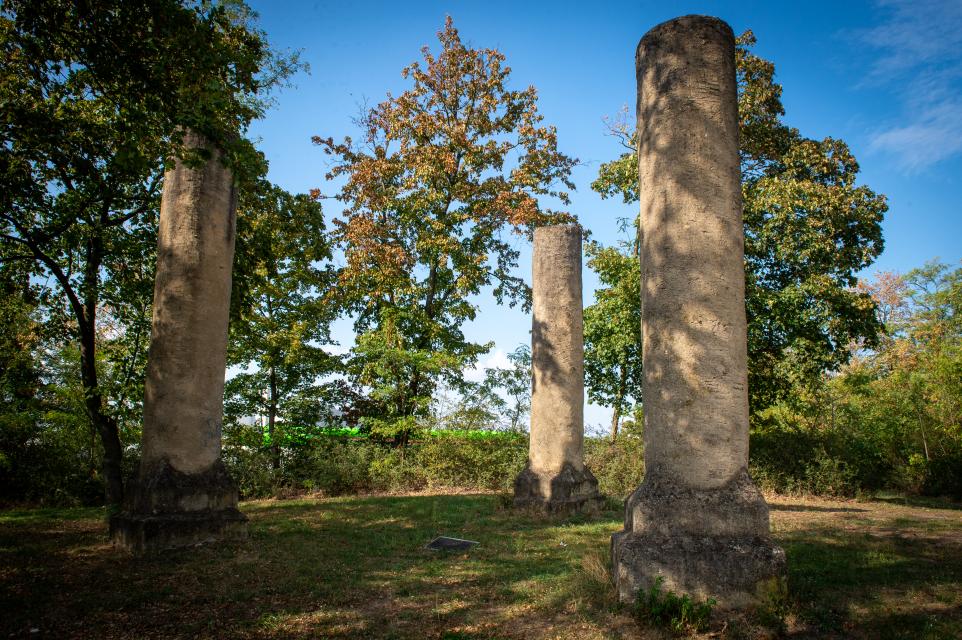 Nur die gemauerten Säulen Galgens sind an der Gemarkungsgrenze von Pfungstadt und Eberstadt noch zu sehen. Wann er genau - ursprünglich aus Holz - erbaut wurde, ist nicht belegbar. Belegt ist allerdings, dass hier im Jahr 1530 eine Gerichtssitzung abgehalten worden ist, in der ein Heinrich Berner zum Tode verurteilt wurde.