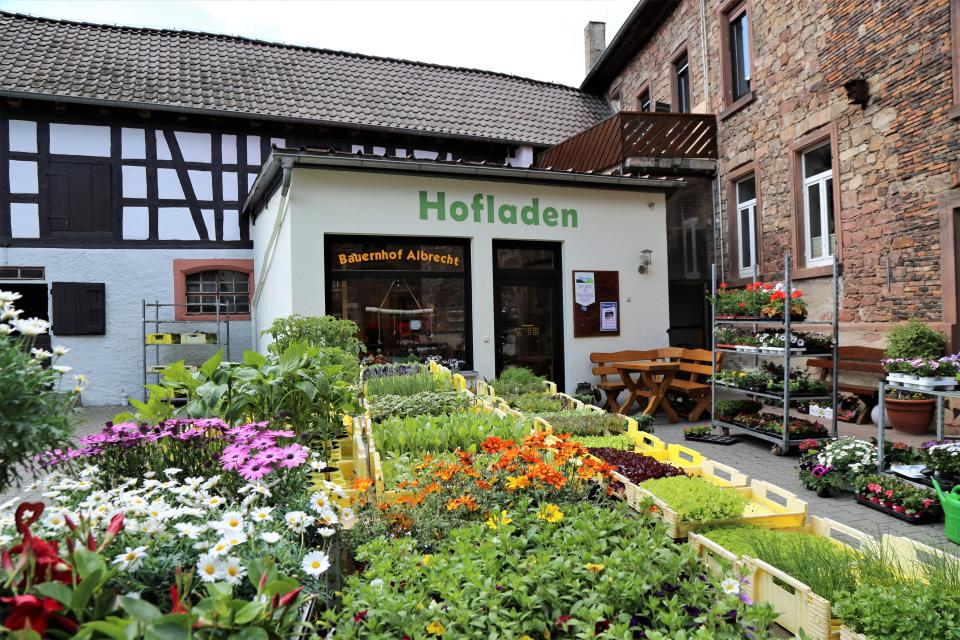 Familie Albrecht bietet neben Kartoffeln aus dem eignen Anbau, Eier aus dem Hühnermobil und weitere regionale Produkte im Hofladen an.