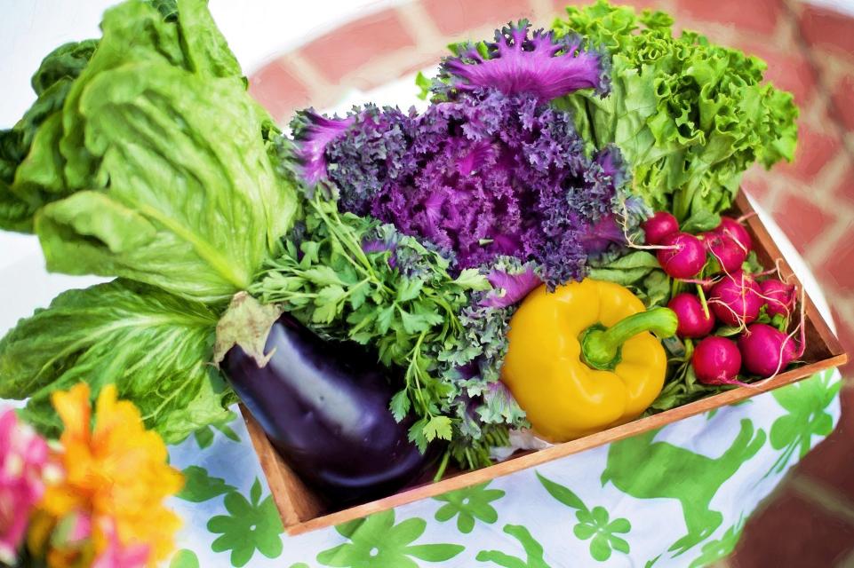 Unser Familienunternehmen besteht aus einem landwirtschaftichen Betrieb mit dem Schwerpunkt Gemüsebau. Unser Hofladen bietet Ihnen täglich frisches Obst und Gemüse!