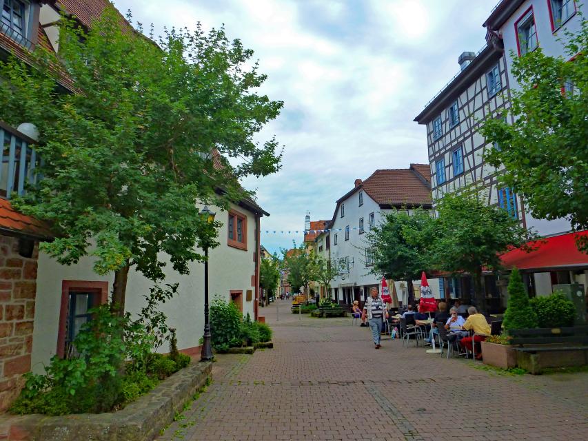 Die Stadt Eberbach liegt an einem weit nach Norden ausholenden Neckarbogen und gehört zu den waldreichsten Gemeinden in Baden-Württemberg. Die im Verlauf der Odenwaldtektonik entstandenen vier Umlaufberge verleihen der Stadt ihren besonderen Charme.
